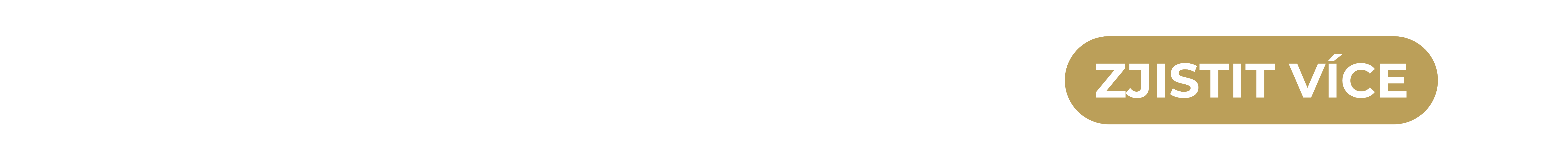 ZJISTIT-VICE-VPRAVO-(2).png ZJISTIT-VICE-VPRAVO-(2).png